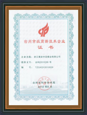 台州市级高新技术企业证书